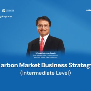 Carbon Market Business Strategy (Intermediate Level)