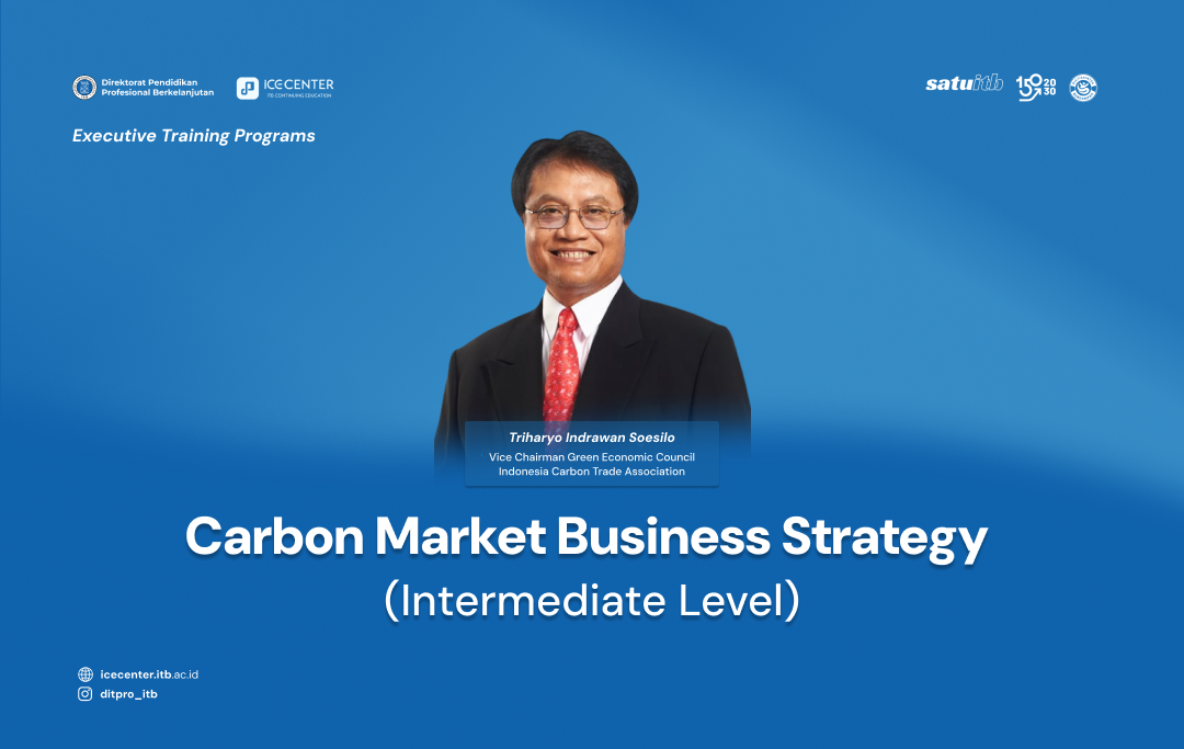 Carbon Market Business Strategy (Intermediate Level)
