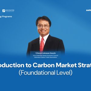 Introduction to Carbon Market Strategy (Beginner Level)