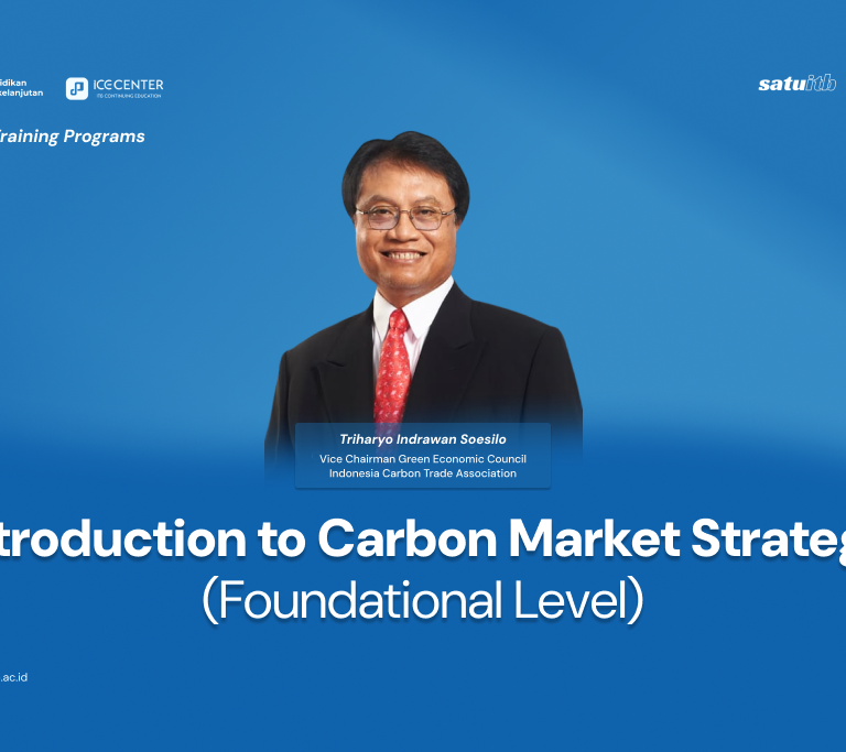 Introduction to Carbon Market Strategy (Beginner Level)
