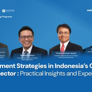 Investment Strategies in Indonesia's Oil and Gas Sector: Practical Insights and Experience