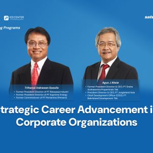 Strategic Career Advancement in Corporate Organizations