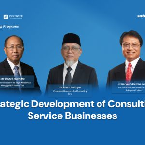 Strategic Development of Consulting Service Businesses