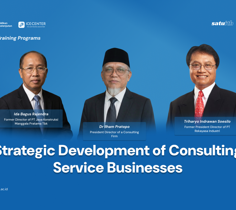 Strategic Development of Consulting Service Businesses