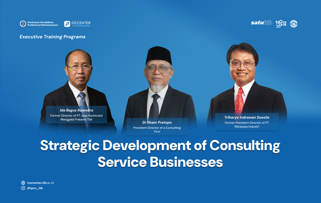 Strategic Development of Consulting Service Businesses