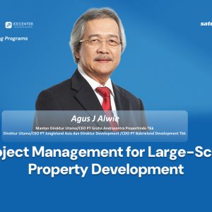 Project Management for Large Scale Property Development